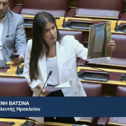 βατσινα βουλη