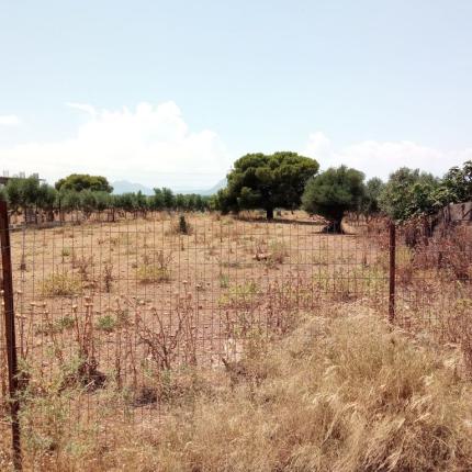 ακαθάριστα οικόπεδα