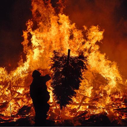 καύση δέντρων 