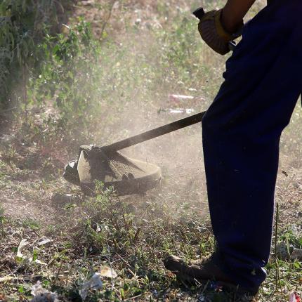 καθαρισμός οικοπέδων