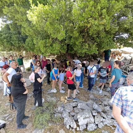 Ψηλορείτης 