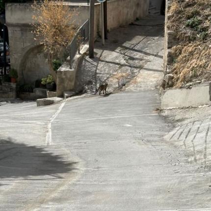 δρομος Κρουσώνα