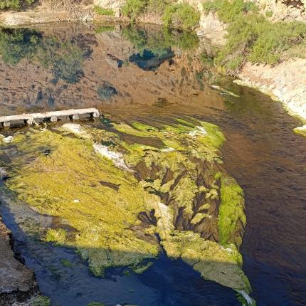 αλμυρός ξηρασία