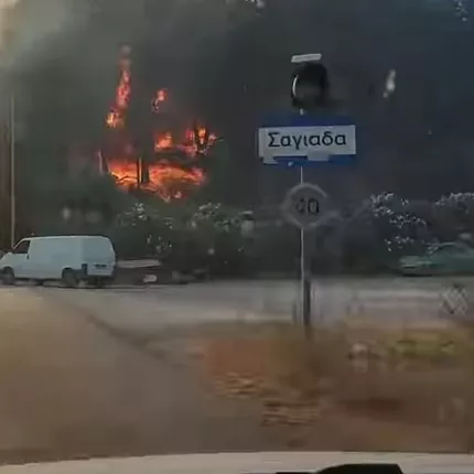 φωτια θεσπρωτια