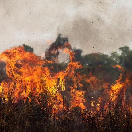 φωτιά - Βραζιλία