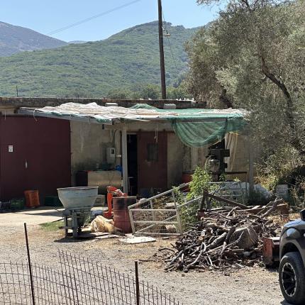 ποιμνιοστάσιο ρέθυμνο απόπειρα ανθρωποκτονίας