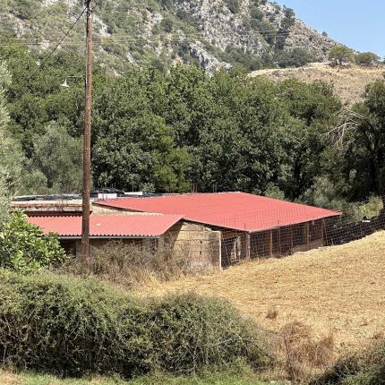 κτηνοτρόφος ρέθυμνο