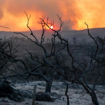 κολομβία πυρκαγιές
