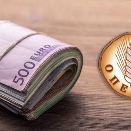 Επιδοτήσεις