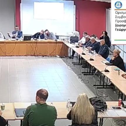 συμβουλιο μεταναστων