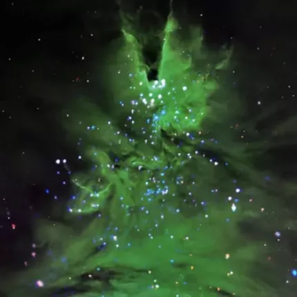 δέντρο NASA