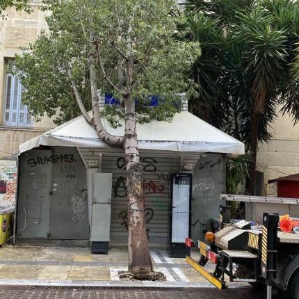 δεντρο