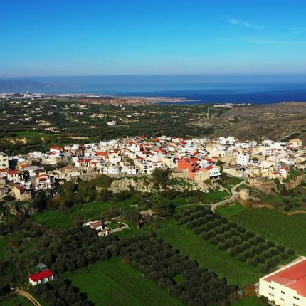 ΕΛΙΑ