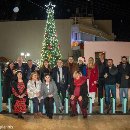ΚΑΣΤΕΛΛΙ ΦΩΤΑΓΩΓΗΣΗ ΔΕΝΔΡΟΥ
