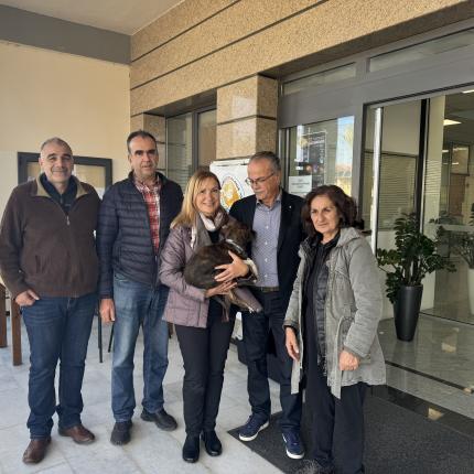 δημος πλατανια αδεσποτα