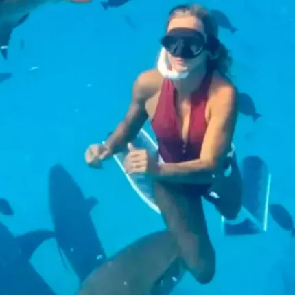 μαλδιβες καρχαριες 