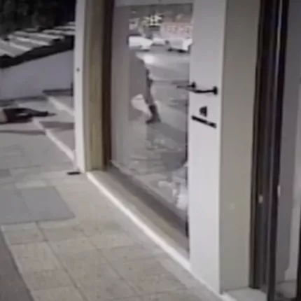 αγρινιο ξυλοδαρμος