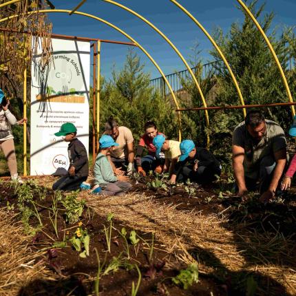 ΔΕΗ και Open Farm 