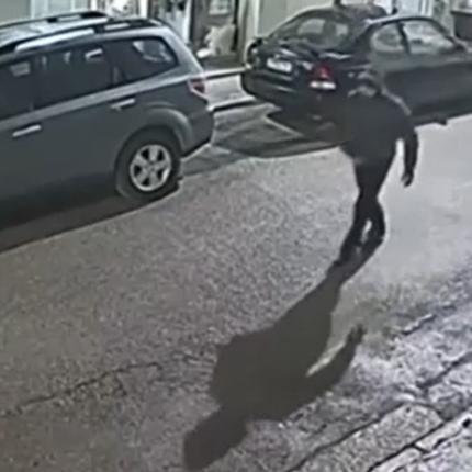 επιδειξίας Περιστέρι