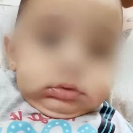 παναγιωτακης αμαλιαδα