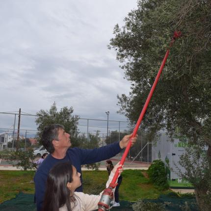ΕΘΕΛΟΝΤΙΚΗ ΕΛΑΙΟΣΥΓΚΟΜΙΔΗ