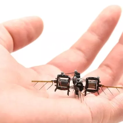 drones φυτα