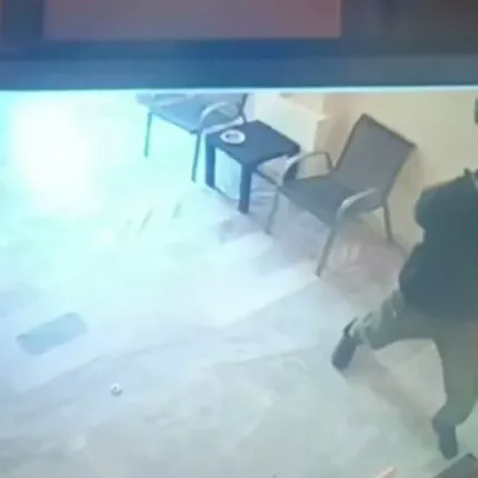 κουκουλοφοροι 