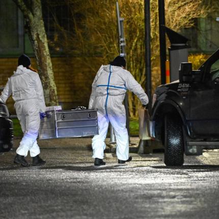 σουηδία επίθεση