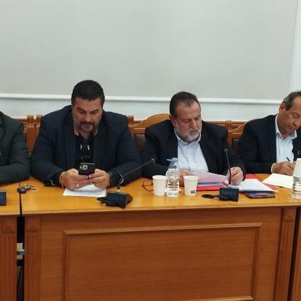 ΔΗΜΟΣ ΜΙΝΩΑ ΠΕΔΙΑΔΑΣ