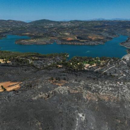  βραχονησίδα