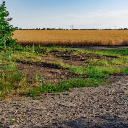 ΚΑΘΑΡΙΣΜΟΣ ΟΙΚΟΠΕΔΩΝ