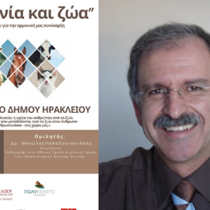 κοινωνια και ζωα