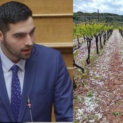 ΚΕΦΑΛΟΓΙΑΝΝΗΣ