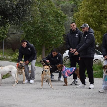 κυνοκομειο
