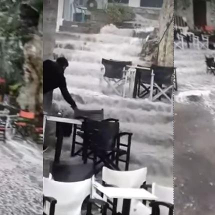 ΒΙΑΝΝΟΣ