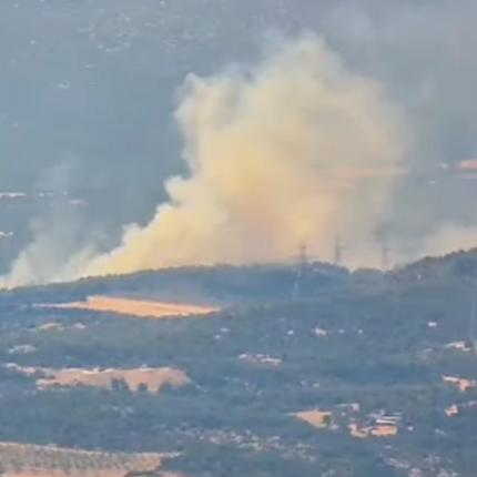 φωτια ριτσωνα