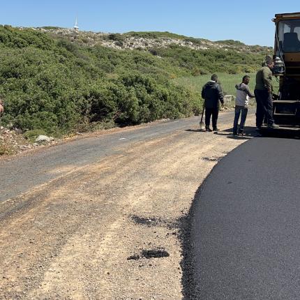 αυτοψια σε παλαικαστρο