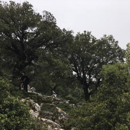 περιοχή Natura