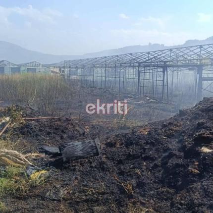 φωτιά - Αγίες Παρασκιές