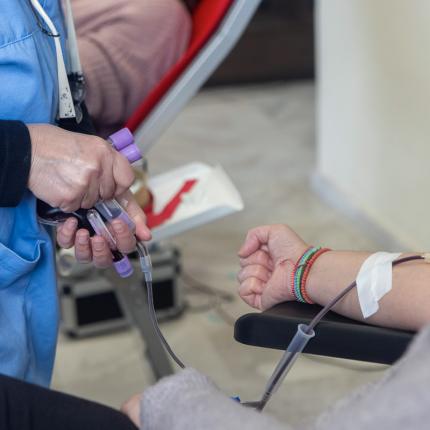 Ελληνική Ομοσπονδία Θαλασσαιμίας