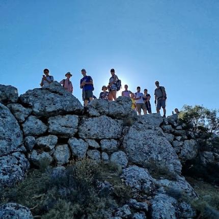 δασος κρουστα