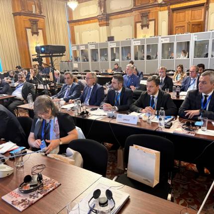 Χαρης Μαμουλακης στο Βουκουρεστι