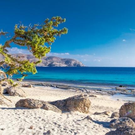 Κερδόδασος