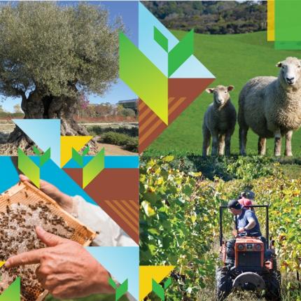 έκθεση αρκαλοχώρι