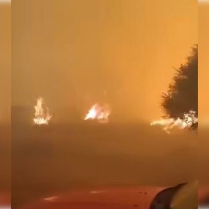 Εύβοια πυρκαγια