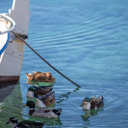 χανια