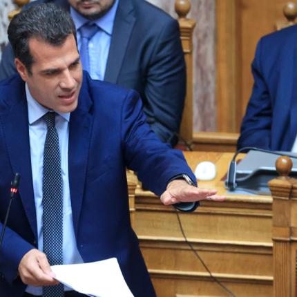Πλεύρης