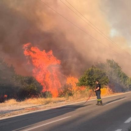 φωτια στην Πρέβεζα 
