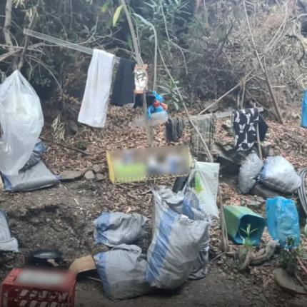 χασισοφυτεία