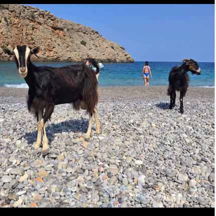παραλία